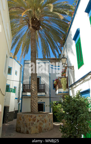 Enorme palm crescente tra e oltre le case e fornire ombra nella città di Puerto de Mogan, Gran Canaria, Spagna Foto Stock