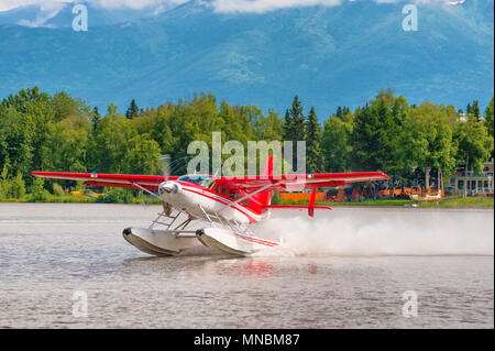 Un rosso e bianco idrovolante decolla sul lago il cofano ad Anchorage in Alaska Foto Stock