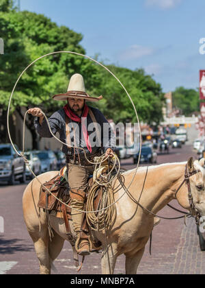 Equitazione Vaquero Longhorn Roundup di bestiame Foto Stock