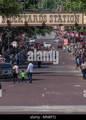 Longhorn bovini Roundup FT Worth Stockyards Foto Stock