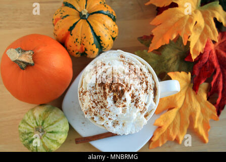 Cappuccino tazza da caffè vista dall'alto. Con la cannella e la schiuma. circondato con zucche zucche e cadono le foglie intorno alla tazza. La tazza con il bastoncino di cannella. Foto Stock