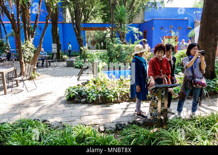 Città del Messico, messicano, ispanico, Coyoacan, del Carmen, Museo Frida Kahlo, Museo Frida Kahlo, Casa Blu, interno, cortile, giardino, donna asiatica w Foto Stock