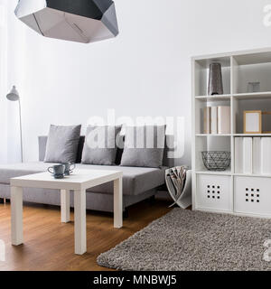Interno con grande, moderna libreria, piccolo tappeto, divano e tavolo. Foto Stock