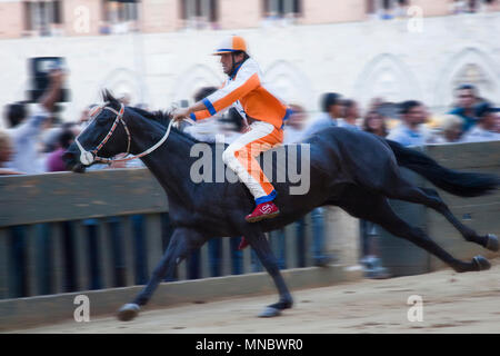 Contrada di unicorn, la razza, il palio di Siena Siena, Toscana, Italia, Europa Foto Stock