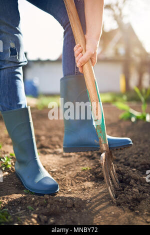 Lavoro in un giardino - Molla di scavare il terreno con forcella Spading. Close up di scavare il terreno a molla con pala blu la sua preparazione per la nuova stagione di semina. Foto Stock
