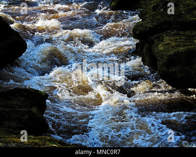 Turbolente acque del 'hotel Astrid, un pericoloso tratto di fiume Wharfe vicino a Bolton Abbey. Foto Stock