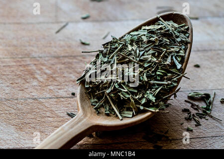 Dragoncello Spice in cucchiaio di legno / Tarhun Otu. Alimenti biologici. Foto Stock