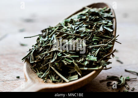 Dragoncello Spice in cucchiaio di legno / Tarhun Otu. Alimenti biologici. Foto Stock