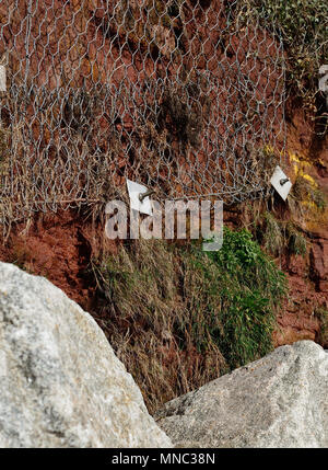 Le viti di roccia e il netting il supporto di pietra arenaria rossa scogliere a Hollicombe beach. Foto Stock