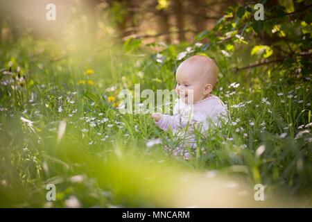 Piccolo bambino caucasico ragazza seduta in erba in foresta. Bellissimo bambino bambina ritratto in natura. Foto Stock