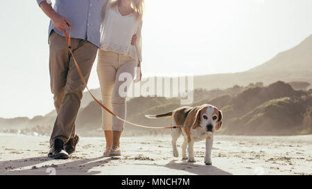 Coppia matura a piedi il loro cane sulla spiaggia. Cane di camminare sulla spiaggia con un paio di mattina. Foto Stock