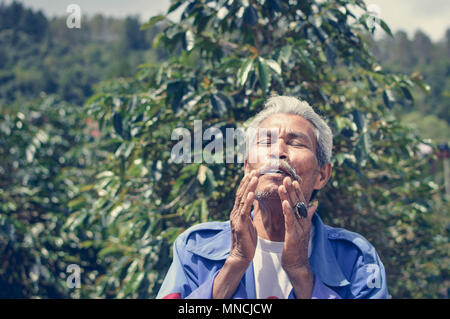 Sumatra, Indonesia - 13 Gennaio 2018: Anziani Batak agricoltore è visto accanto alla sua piantagione di caffè in isola di Samosir, Lago Toba, Sumatra, Indonesia. Foto Stock