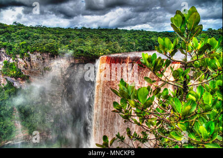 Kaieteur cascata, una delle cascate più alte del mondo al fiume Potaro, Guyana Foto Stock