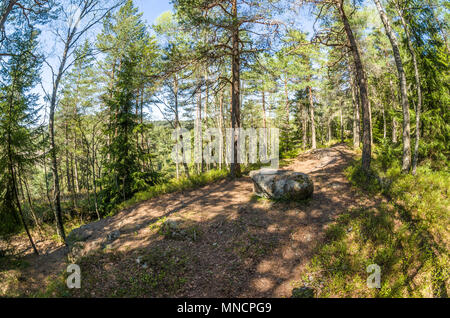 Arvollasen- vecchia cava inutilizzato, ormai popolare destinazione trekking a Oslo, Norvegia. Foto Stock