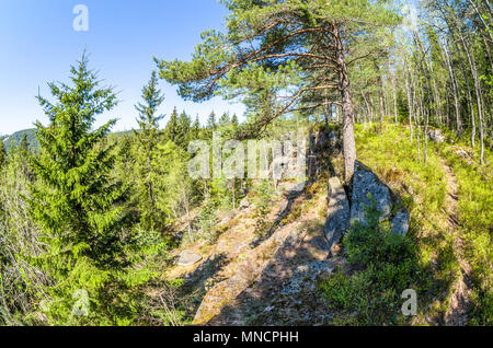 Arvollasen- vecchia cava inutilizzato, ormai popolare destinazione trekking a Oslo, Norvegia. Foto Stock