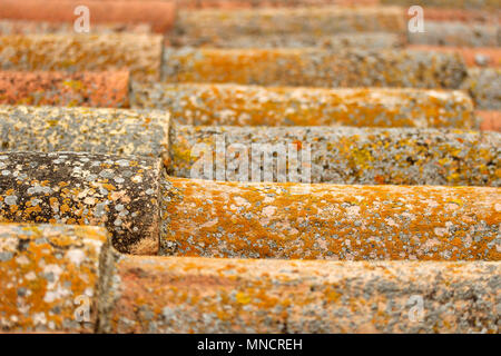 Arabo tegole sul tetto. Foto Stock