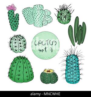 Impostare colorati di cactus, disegnati a mano illustrazione vettoriale. Delineare sketch. Collezione di succulente. Illustrazione Vettoriale