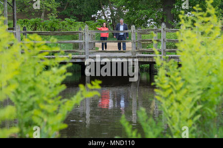 Fioraio Philippa Craddock e custode dei giardini a Windsor Great Park John Anderson, scegliendo gli impianti dal Savill Garden per essere utilizzati in composizioni floreali in corrispondenza alla cappella di San Giorgio, Windsor per le nozze del principe Harry e Meghan Markle. Foto Stock