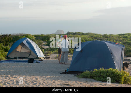 Le donne a conversare su un viaggio di campeggio nelle isole Galapagos, Ecuador. Foto Stock