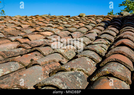 Molto vecchie mattonelle in terracotta di un tetto con MOSS, profondità di campo, Bulgaria meridionale, sui monti Rodopi Foto Stock