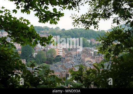 La città di Liegi, Belgio, visto dalla collina sopra la città Foto Stock