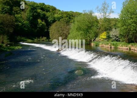 Weir sul fiume teme un grado 2 edifici probabilmente di origine medievale Ludlow Shropshire England Regno Unito Foto Stock