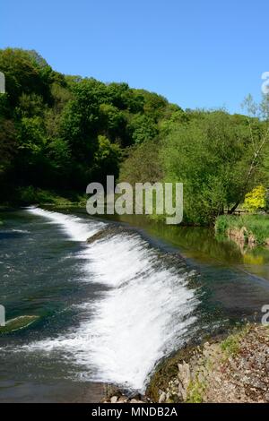 Weir sul fiume teme un grado 2 edifici probabilmente di origine medievale Ludlow Shropshire England Regno Unito Foto Stock