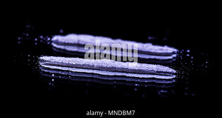 La cocaina in polvere su uno specchio in due linee pronto per insufflazione Foto Stock