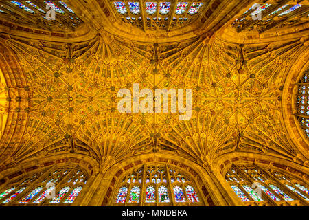 Il soffitto ornato di Sherborne Abbey prese a Sherborne, Dorset, Regno Unito il 24 agosto 2015 Foto Stock