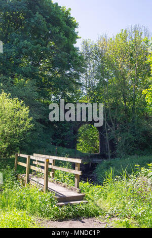 Passerella in legno sulla ex ferrovia, ora sentiero pubblico vicino Wheelock CHESHIRE REGNO UNITO Foto Stock