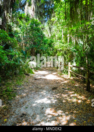 Molle Gemini Park n DeBary Florida Volusia County Florida Centrale Foto Stock