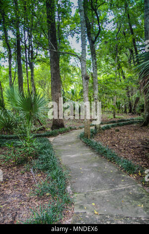 Kanapaha Botanical Gardens a Gainesville Florida Foto Stock