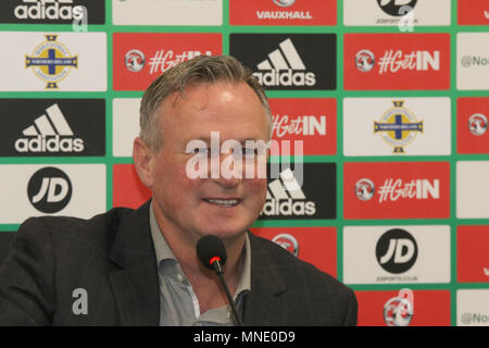 Windsor Park, Belfast, Irlanda del Nord, Regno Unito. 16 maggio 2018. Irlanda del Nord manager Michael O'Neill ha annunciato la sua squadra oggi per le prossime amichevoli internazionali in America centrale. Irlanda del Nord giocherà Panama (in Panama City) mercoledì 30 maggio 2018, e poi la Costa Rica (in San Jose) Domenica 03 giugno 2018. Credito: David Hunter/ Alamy Live News. Foto Stock