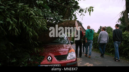 16 maggio 2018, Germania, Schwalmtal: un albero che giace su di un'auto parcheggiata dopo una tempesta di vento. Il tornado ha, secondo le autorità, un 'causarono un percorso di distruzione'. Almeno una persona è stata gravemente ferito dalla tempesta. Foto: David Giovani/dpa Foto Stock