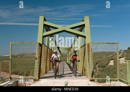 La Greenway della Subbetica (vecchia linea ferroviaria del cosiddetto " olio treno') - passerella oltre la strada e i ciclisti. Luque. In provincia di Cordoba. Regione Foto Stock