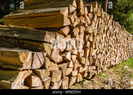 Palo di legno - escursionismo in una bella giornata di primavera Reinprechts/ Heinrichs - Weitra - Austria Inferiore, Europa Foto Stock