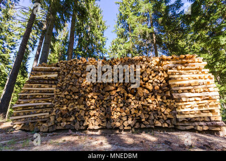 Palo di legno - escursionismo in una bella giornata di primavera Reinprechts/ Heinrichs - Weitra - Austria Inferiore, Europa Foto Stock