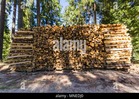 Palo di legno - escursionismo in una bella giornata di primavera Reinprechts/ Heinrichs - Weitra - Austria Inferiore, Europa Foto Stock