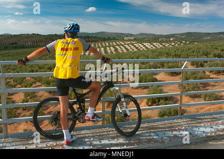 La Greenway della Subbetica (vecchia linea ferroviaria del cosiddetto " olio treno") - La Sima Viaduct e il ciclista. Cabra. In provincia di Cordoba. Regione dell'Andalusia. Foto Stock