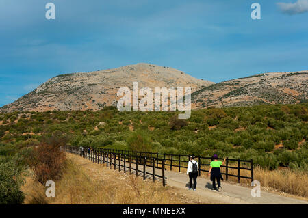 La Greenway della Subbetica (vecchia linea ferroviaria del cosiddetto " olio treno'). Cabra. In provincia di Cordoba. Regione dell'Andalusia. Spagna. Europa Foto Stock