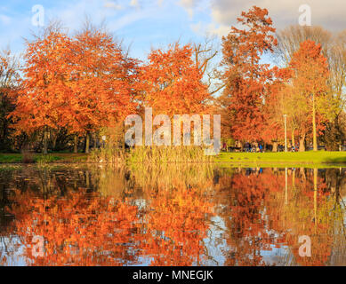 Amsterdam, Paesi Bassi - 17 Novembre 2017: Autunno nel Parco di Vondel Amsterdam Foto Stock