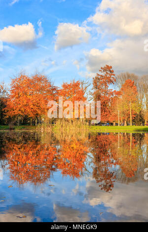 Amsterdam, Paesi Bassi - 17 Novembre 2017: Autunno nel Parco di Vondel Amsterdam Foto Stock