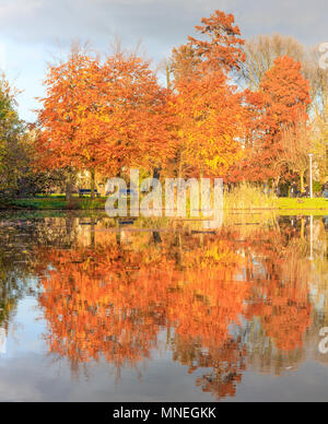 Amsterdam, Paesi Bassi - 17 Novembre 2017: Autunno nel Parco di Vondel Amsterdam Foto Stock