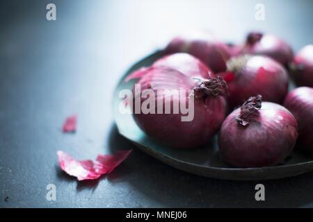 Le cipolle rosse su una piastra Foto Stock