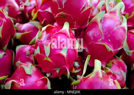 Frutta del drago Foto Stock