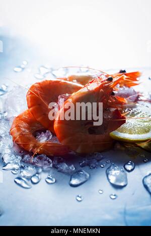 Gamberetti lessati su ghiaccio con una fettina di limone Foto Stock