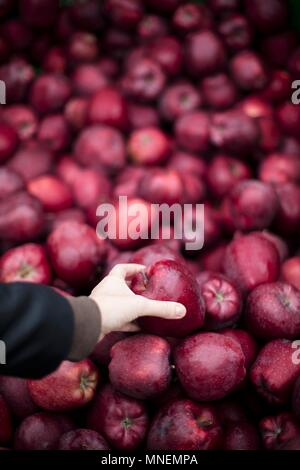 Mele rosse su un mercato in stallo Foto Stock