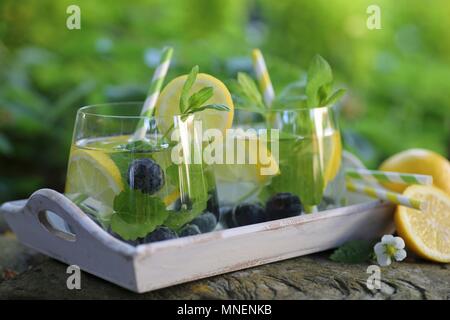 Acqua con limone, mirtilli e menta servito in un giardino Foto Stock