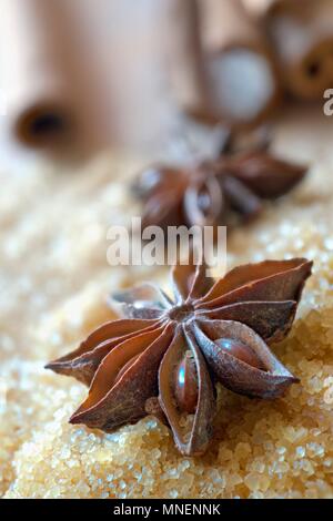 Anice stellato sullo zucchero di canna Foto Stock