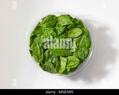 Fresh baby spinaci in un recipiente di plastica davanti a uno sfondo bianco (visto da sopra) Foto Stock